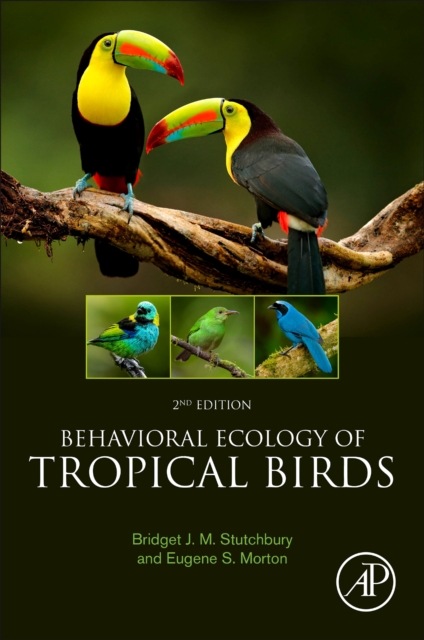 Behavioral Ecology of Tropical Birds, Paperback / softback Book