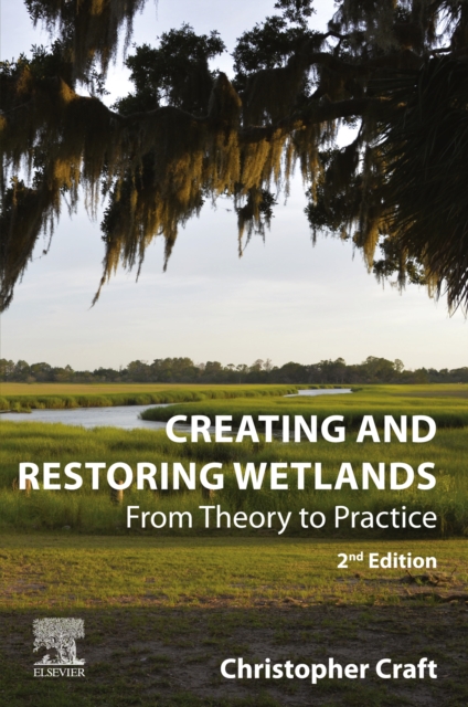 Creating and Restoring Wetlands : From Theory to Practice, EPUB eBook