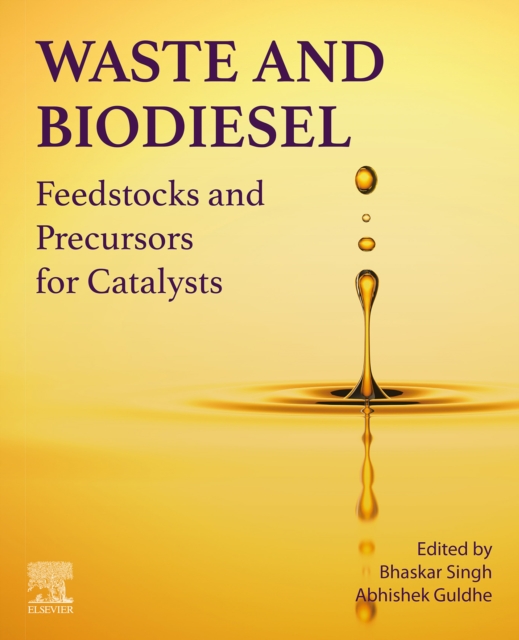 Waste and Biodiesel : Feedstocks and Precursors for Catalysts, EPUB eBook