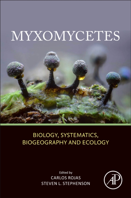 Myxomycetes : Biology, Systematics, Biogeography and Ecology, Paperback / softback Book