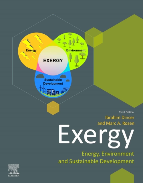 Exergy : Energy, Environment and Sustainable Development, EPUB eBook