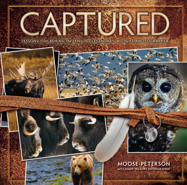 Captured : Lessons from Behind the Lens of a Legendary Wildlife Photographer, EPUB eBook