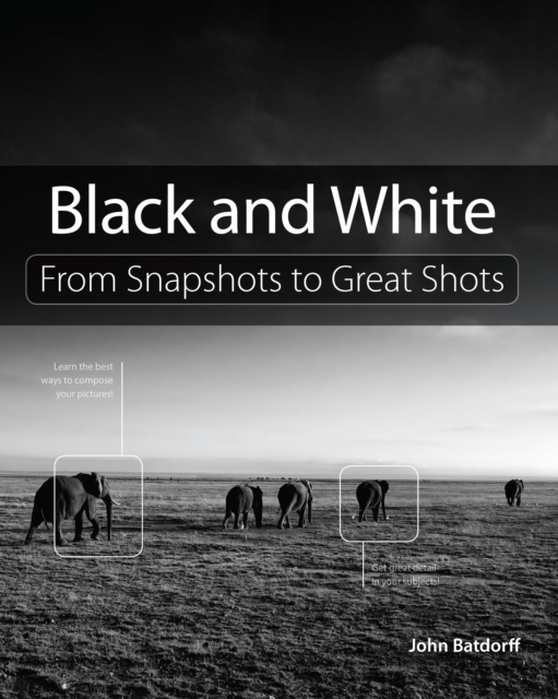 Black and White : From Snapshots to Great Shots, EPUB eBook
