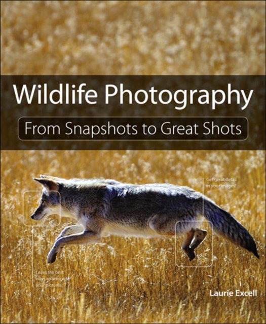 Composition : From Snapshots to Great Shots, EPUB eBook
