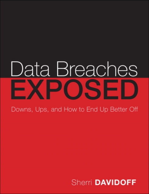 Data Breaches : Crisis and Opportunity, Paperback / softback Book