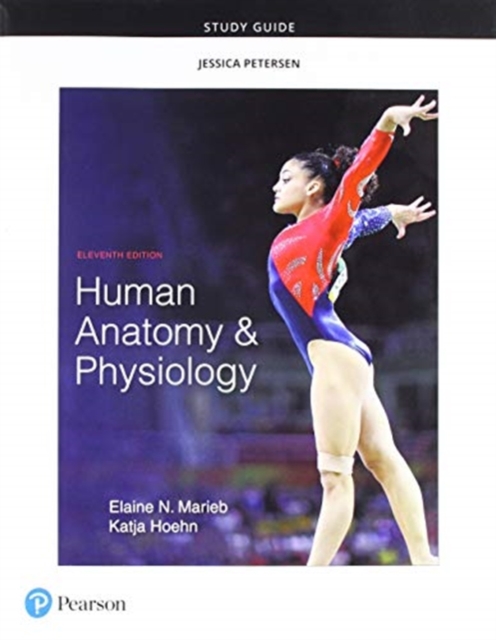 Study Guide for Human Anatomy & Physiology, Paperback / softback Book