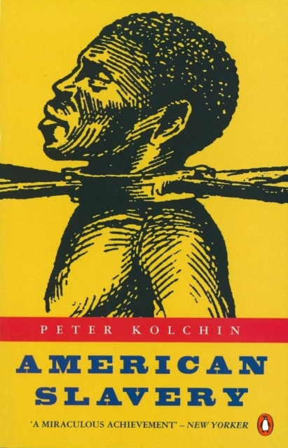 American Slavery : 1619-1877, Paperback / softback Book