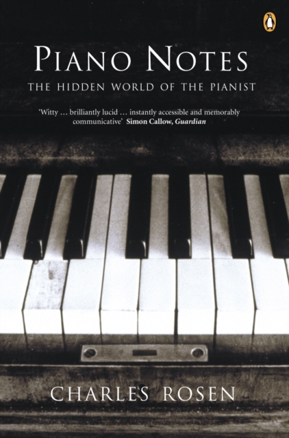 Piano Notes : The Hidden World of the Pianist, Paperback / softback Book