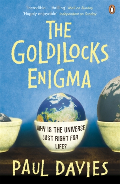 The Goldilocks Enigma : Why is the Universe Just Right for Life?, Paperback / softback Book