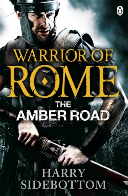 Warrior of Rome VI: The Amber Road, Paperback / softback Book