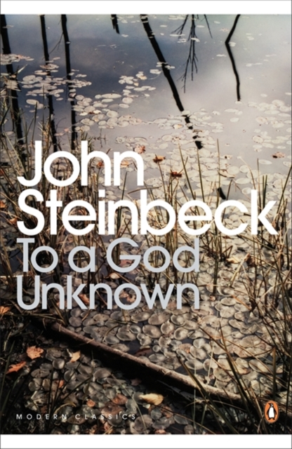 To a God Unknown, Paperback / softback Book