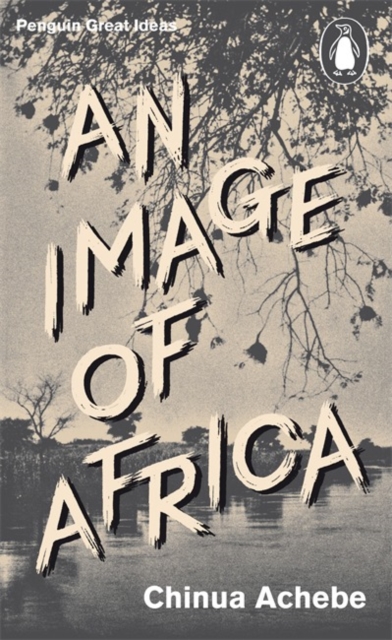 An Image of Africa, Paperback / softback Book