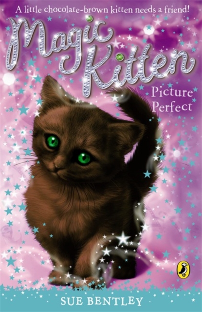 Magic Kitten: Picture Perfect, Paperback / softback Book