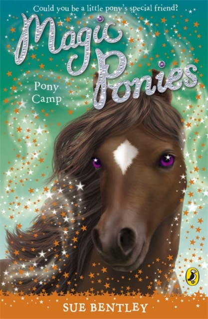Magic Ponies: Pony Camp, Paperback / softback Book