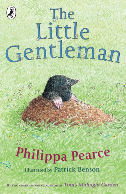 The Little Gentleman, EPUB eBook
