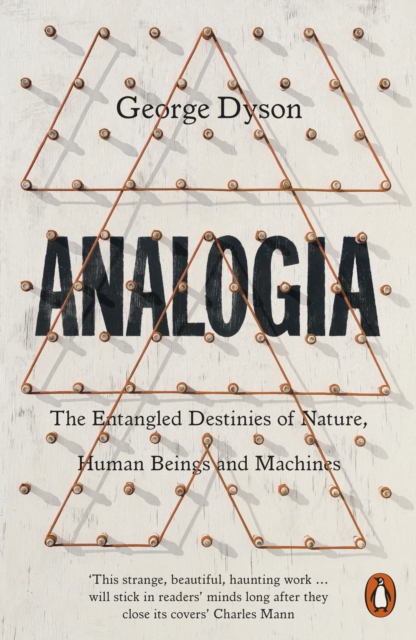 Analogia : The Entangled Destinies of Nature, Human Beings and Machines, Paperback / softback Book