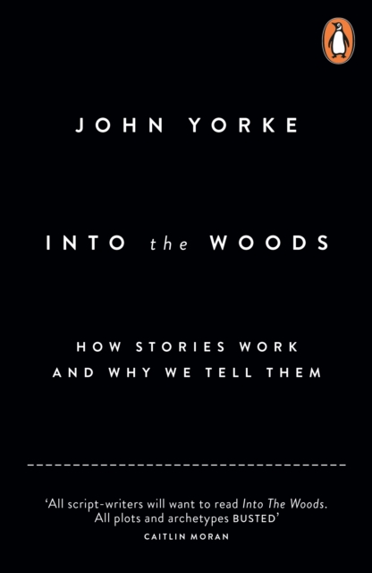 Into The Woods : How Stories Work and Why We Tell Them, Paperback / softback Book