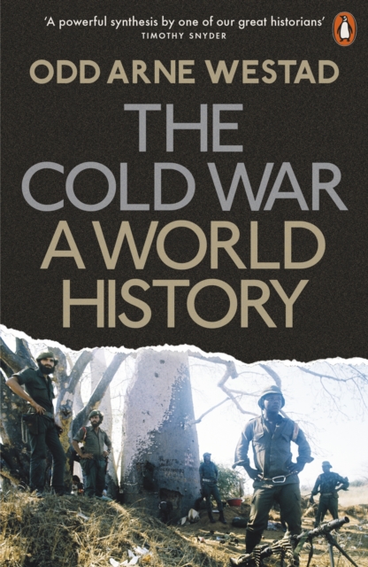 The Cold War : A World History, Paperback / softback Book