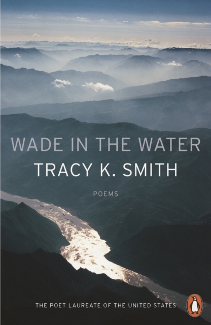 Wade in the Water, Paperback / softback Book