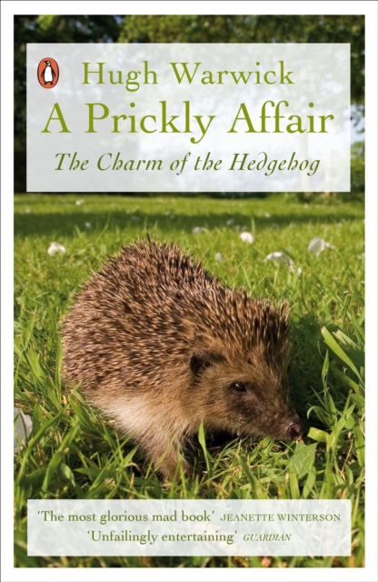 A Prickly Affair : The Charm of the Hedgehog, Paperback / softback Book
