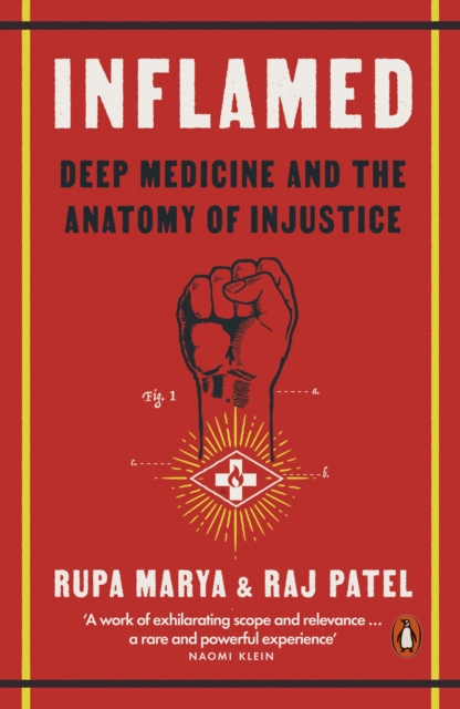Inflamed : Deep Medicine and the Anatomy of Injustice, Paperback / softback Book