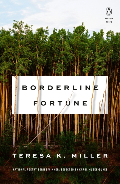 Borderline Fortune, Paperback / softback Book