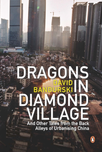 Dragons in Diamond Village And Other Tales from the Back Alleys of Urbanising China, EPUB eBook