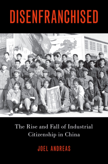 Disenfranchised : The Rise and Fall of Industrial Citizenship in China, EPUB eBook