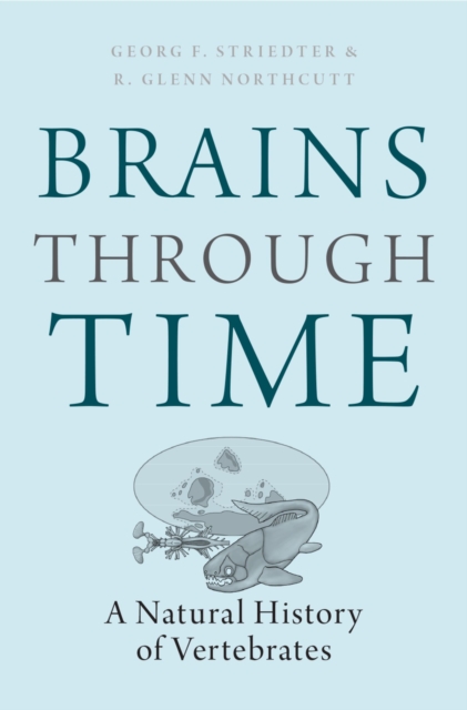 Brains Through Time : A Natural History of Vertebrates, PDF eBook