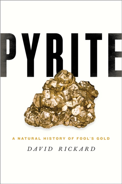 Pyrite : A Natural History of Fool's Gold, PDF eBook