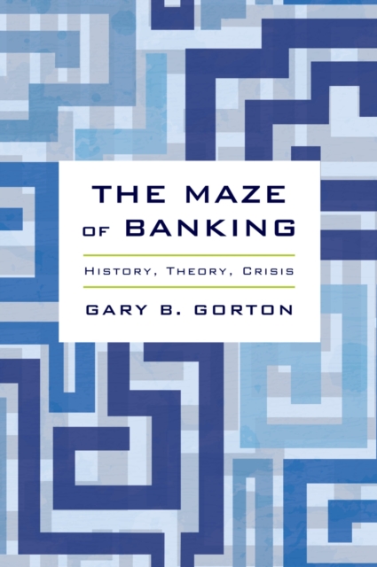 The Maze of Banking : History, Theory, Crisis, EPUB eBook