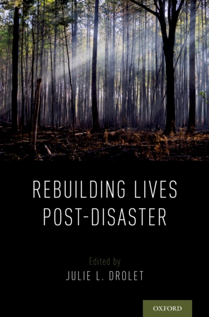 Rebuilding Lives Post-Disaster, EPUB eBook