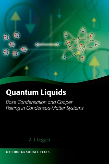 Quantum Liquids : Bose condensation and Cooper pairing in condensed-matter systems, EPUB eBook