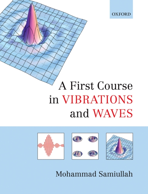 A First Course in Vibrations and Waves, PDF eBook