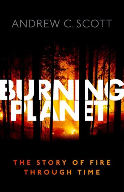 Burning Planet : The Story of Fire Through Time, EPUB eBook