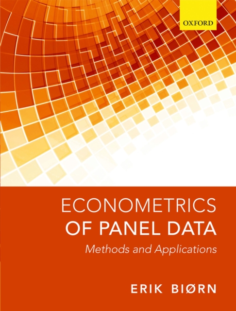 Econometrics of Panel Data : Methods and Applications, PDF eBook
