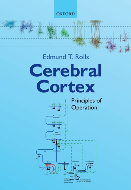 Cerebral Cortex : Principles of Operation, PDF eBook