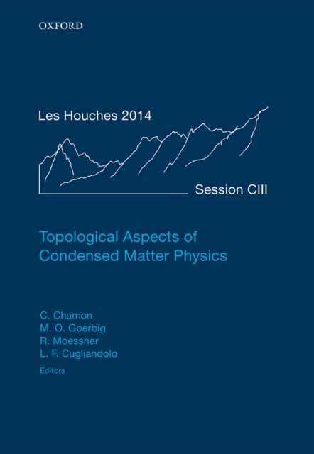 Topological Aspects of Condensed Matter Physics : Lecture Notes of the Les Houches Summer School: Volume 103, August 2014, PDF eBook