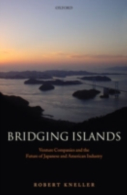 Bridging Islands : Venture Companies and the Future of Japanese and American Industry, PDF eBook