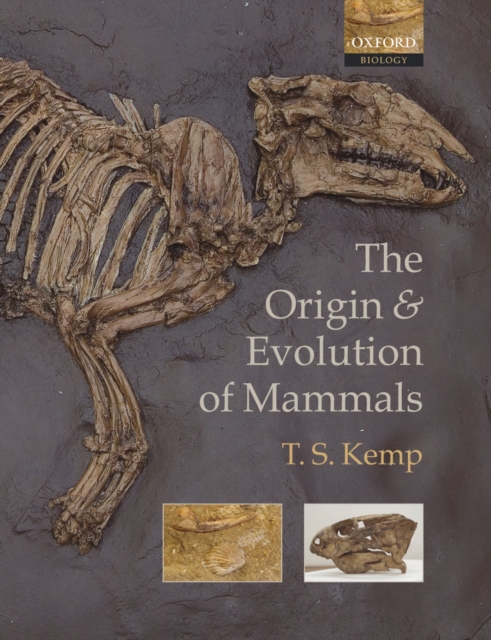 The Origin and Evolution of Mammals, PDF eBook