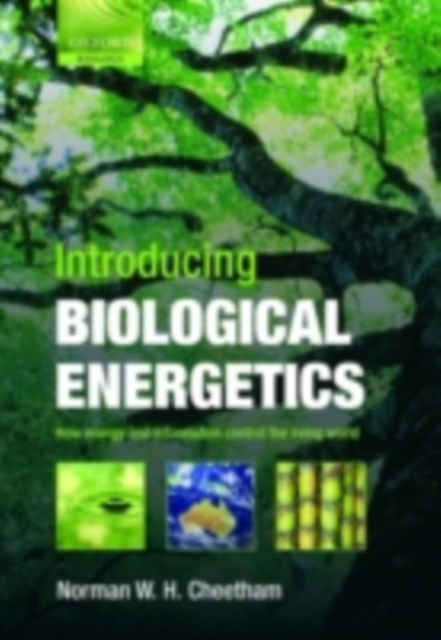 Introducing Biological Energetics : How Energy and Information Control the Living World, PDF eBook