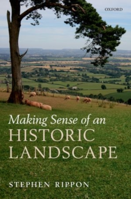 Making Sense of an Historic Landscape, PDF eBook