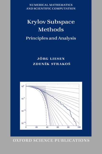 Krylov Subspace Methods : Principles and Analysis, PDF eBook