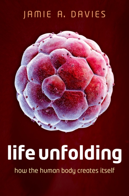 Life Unfolding : How the human body creates itself, EPUB eBook
