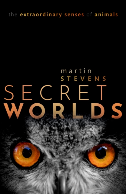 Secret Worlds : The extraordinary senses of animals, EPUB eBook