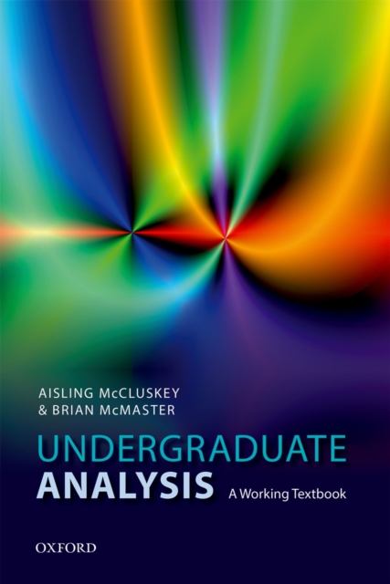 Undergraduate Analysis : A Working Textbook, PDF eBook