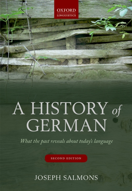 A History of German : What the Past Reveals about Today's Language, PDF eBook