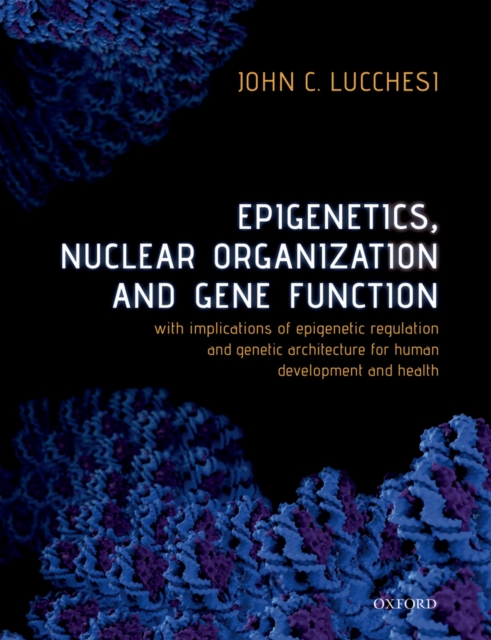 Epigenetics, Nuclear Organization & Gene Function : With implications of epigenetic regulation and genetic architecture for human development and health, PDF eBook