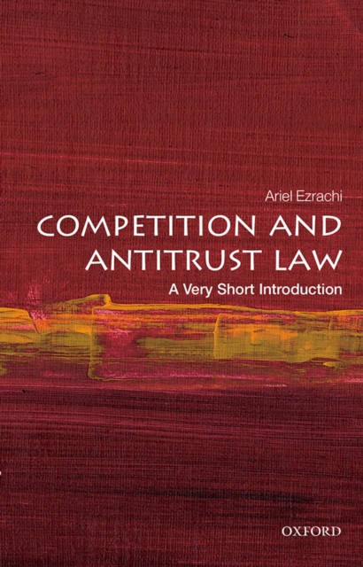 Competition and Antitrust Law: A Very Short Introduction, PDF eBook