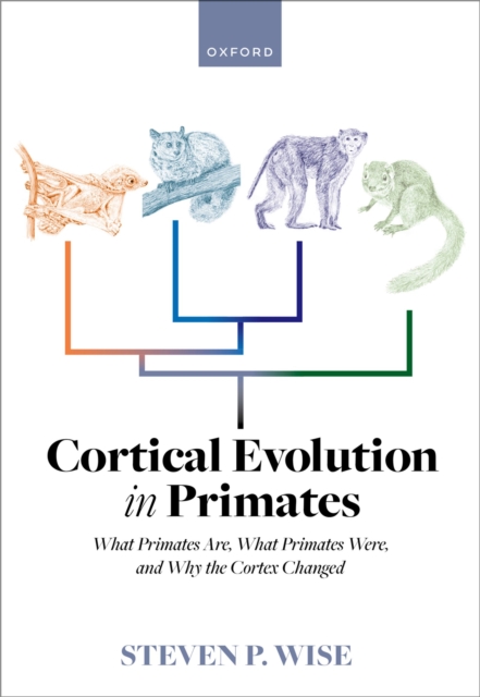 Cortical Evolution in Primates : What Primates Are, What Primates Were, and Why the Cortex Changed, EPUB eBook